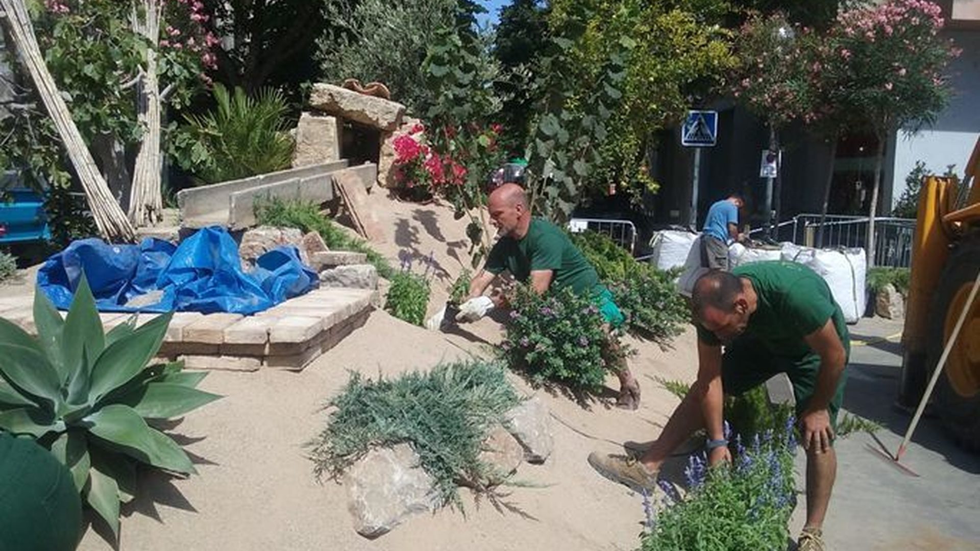 mantenimiento de jardines en Reus