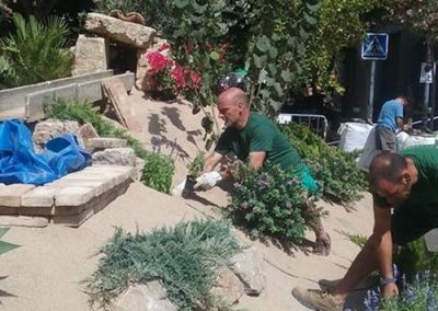 Encuentra tu jardinero profesional en Tarragona