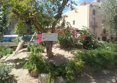 expertos en mantenimiento de jardines en Tarragona