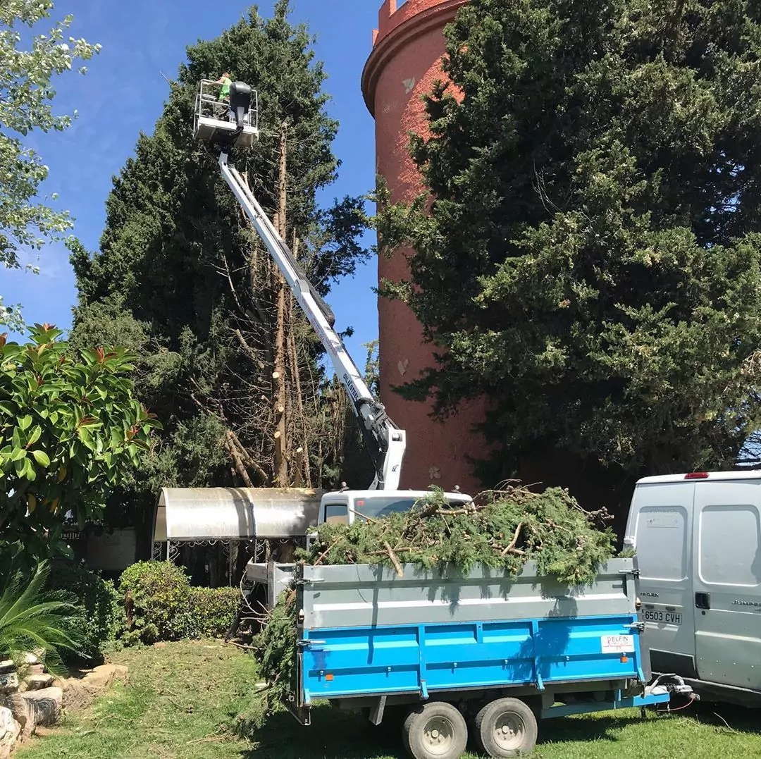 poda y tala de árboles en Tarragona