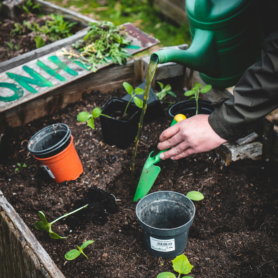 Jardineros profesionales en Vilaseca — Cat Jardí