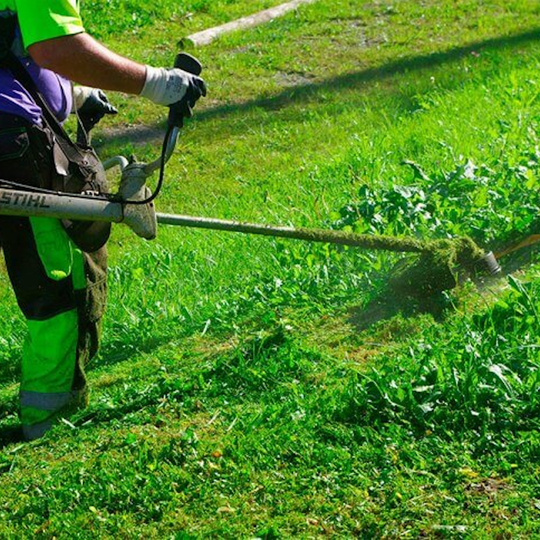 Equipo de Cat Jardí realizando limpieza de parcela en Salou
