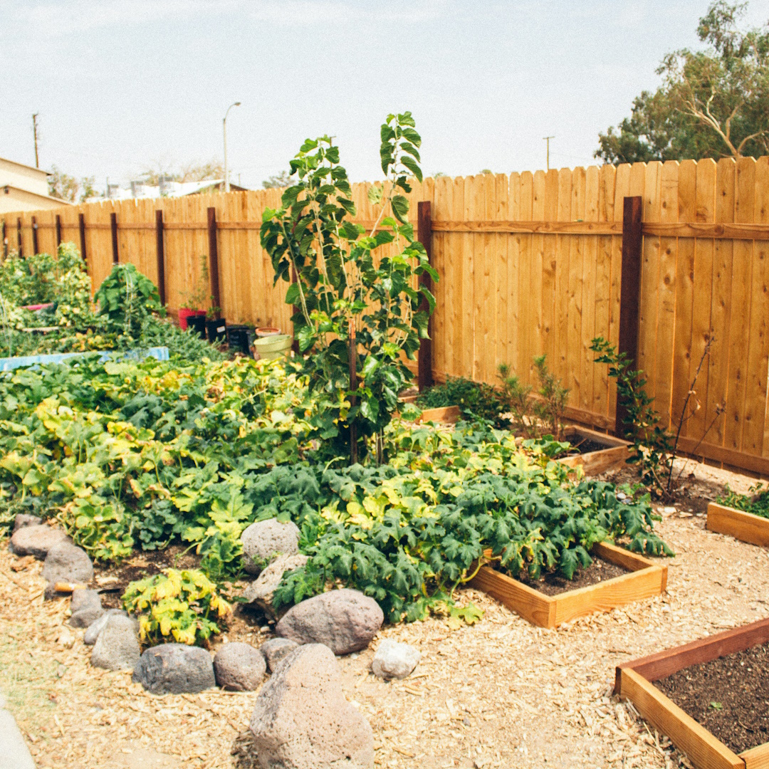Jardinero profesional trabajando en comunidad de Vilaseca — Cat Jardí