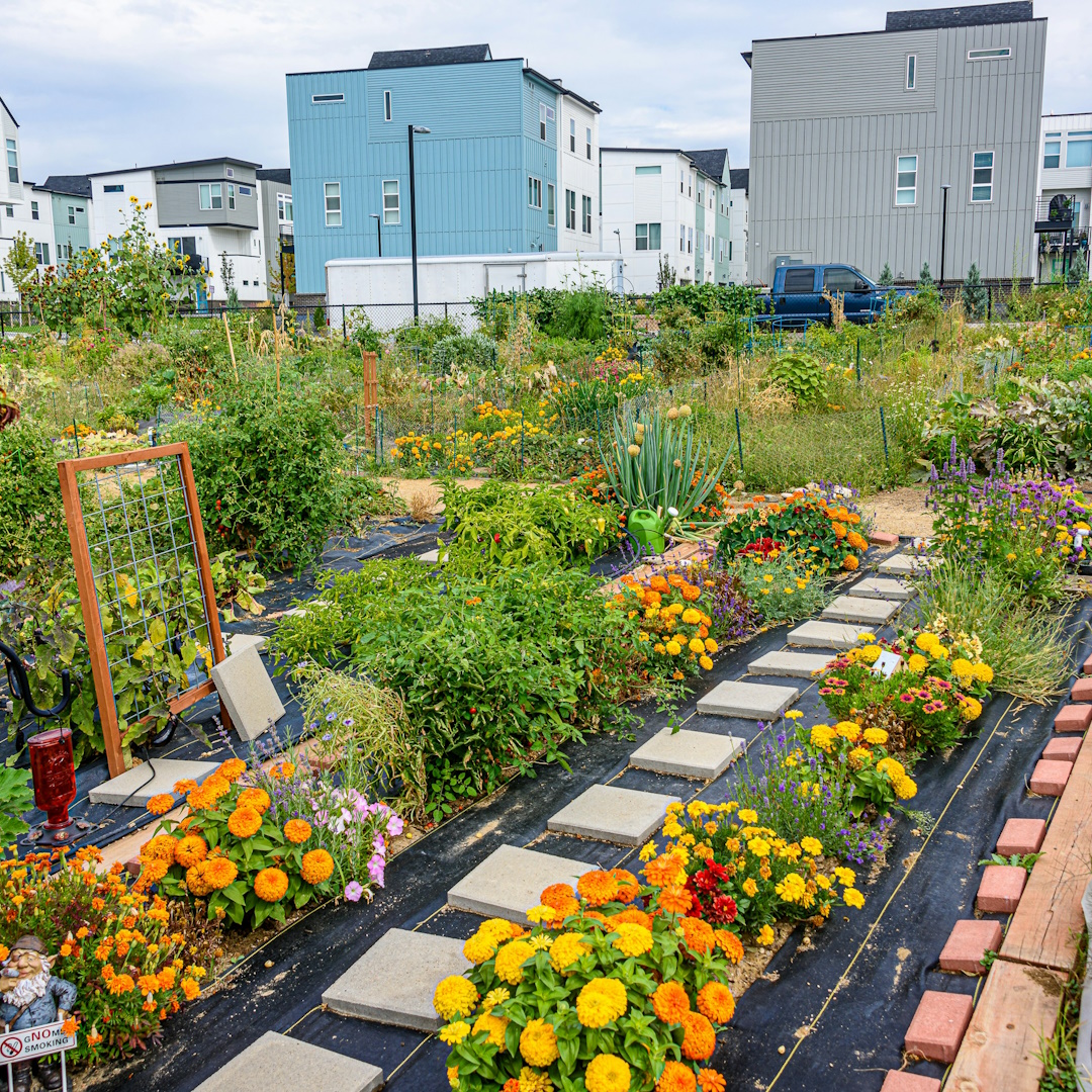 Mantenimiento de jardines de comunidades en Vilaseca — Cat Jardí
